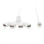 Digitus | USB 2.0 Cable Hub, 4-Port 4x USB A/F, 1x USB A male, DC2.5mm (PSU not incl.) | DA-70216 - 3